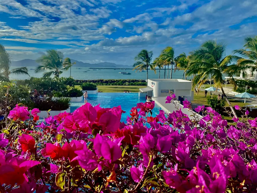 A tropical North Queensland garden beside the water