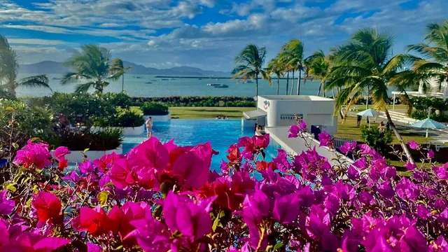A tropical North Queensland garden beside the water